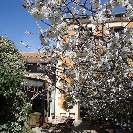 Hotel El Faixero Tradicional Cinctorres Eksteriør billede